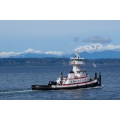 Professional Repalce and Installation Equipment to Tugboat