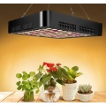 AmazonTop led grow light for Veg and Bloom