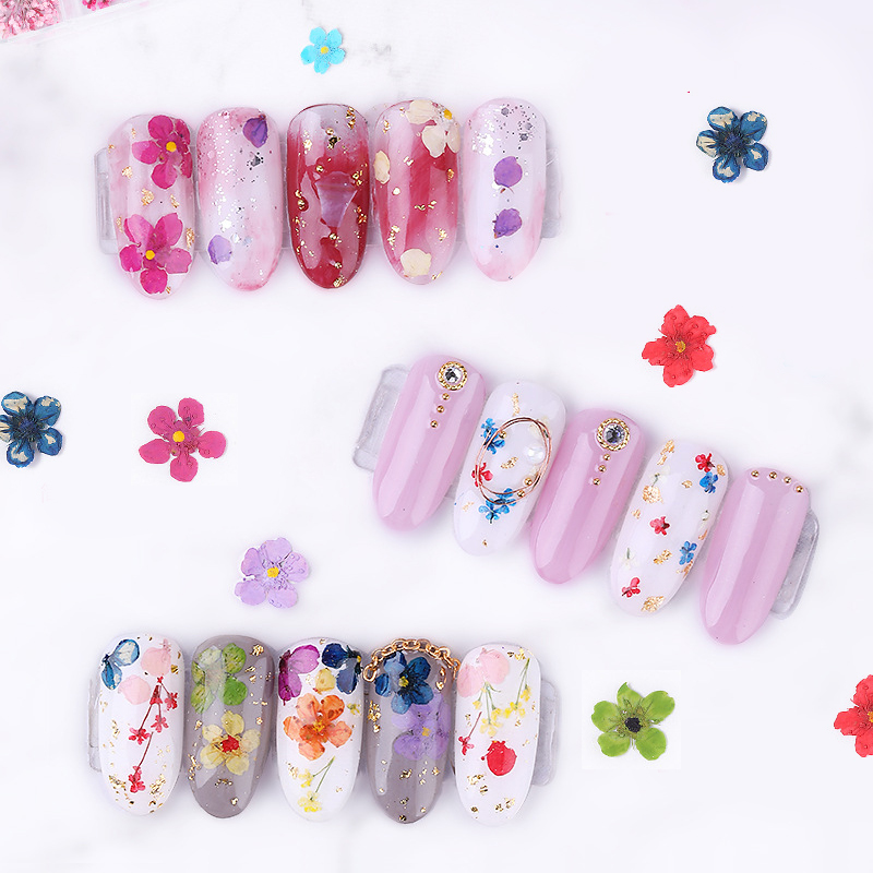 1 Box 3D Dried Flower Nail Decoration Natural Floral Sticker Mixed Dry Flower DIY Nail Art Decals Jewelry UV Gel Polish Manicure