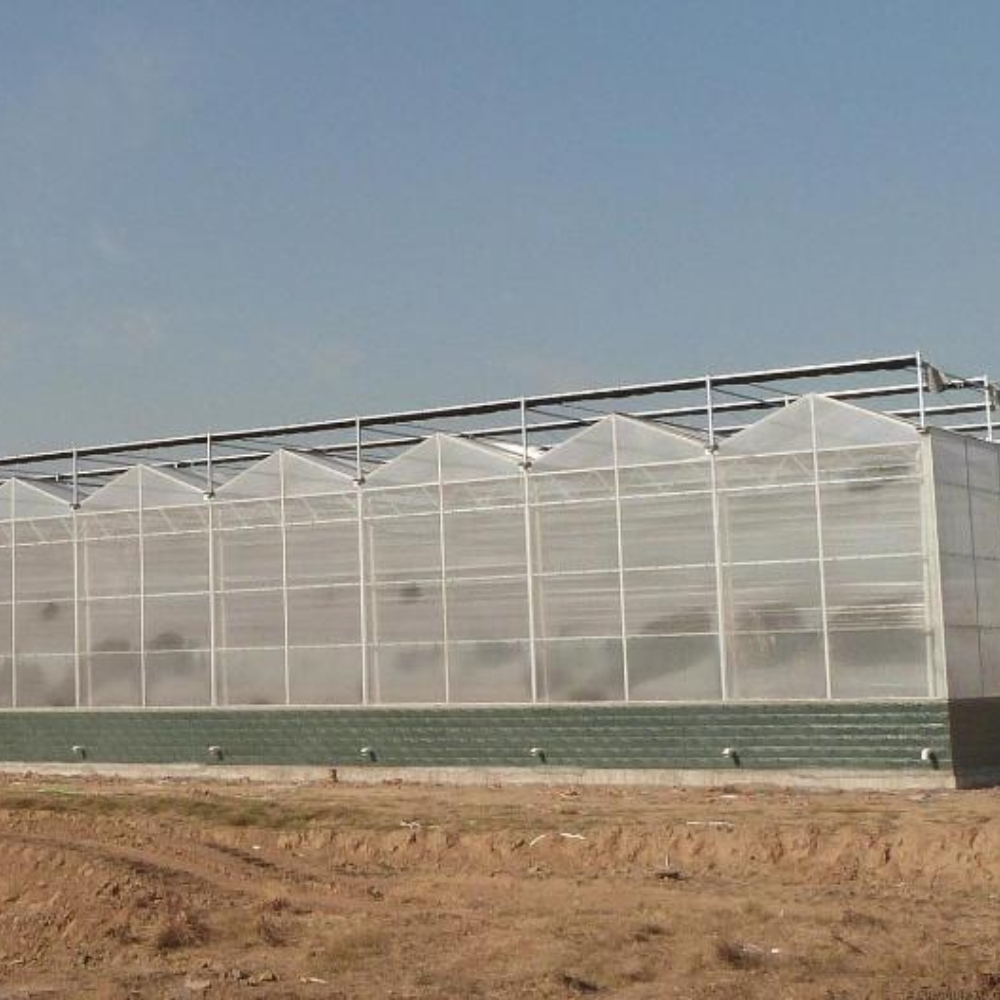 PC Board Multi-span Greenhouse