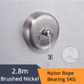Brushed Nickel-1256