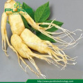 Ginseng buyer near me