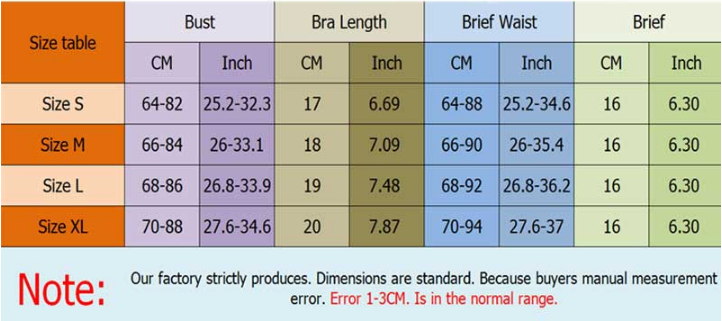 3pcs Set Women Transparent Bra Set & Garter Black Sexy Lingerie Set Lace Lenceria Plus Size Underwear Bra And Panty Set