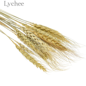 Lychee Life 15pcs Natural Dried Wheat Bouquet Decorative Flowers DIY Cards Embellishment Home Decoration