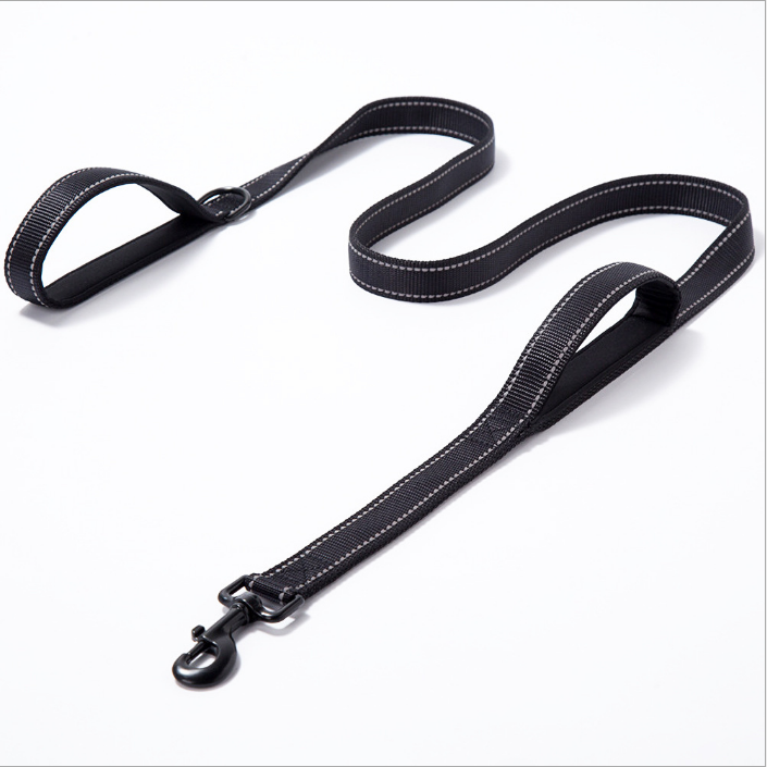 Dog On Leash Aggression