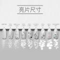 10ml ChampagnesilverSeries Charm Pigment Nail Art Sequins Holographic Nails Accessories Nailart Powder Glitter Chameleon Effect