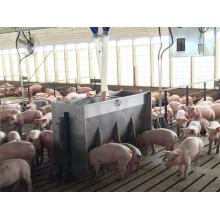 Stainless steel double side feeder for Pig Piglets