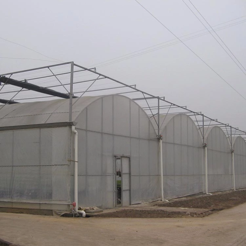 Commercial Hydroponic Plastic Film Green House Manufacturers and Commercial Hydroponic Plastic Film Green House Suppliers