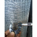 Hot Dipped Galvanized Wrap Edges Crimped Mesh