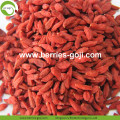 Factory Supply Super Food Dried Red Goji Berry