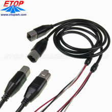 DT Connector and Waterproofing DT04-2P Wire Harness