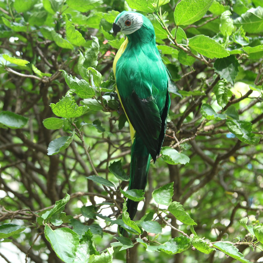 Lifelike Bird Ornament Figurine 35cm Parrot Model Toys Statue Lawn Sculpture