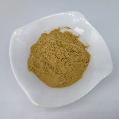 Chinese Whiteflower Patrinia Herb Extract 10:1 for Sale, Offer Chinese Whiteflower Patrinia Herb Extract 10:1