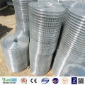 Hot Sale Galvanized Welded Wire Mesh