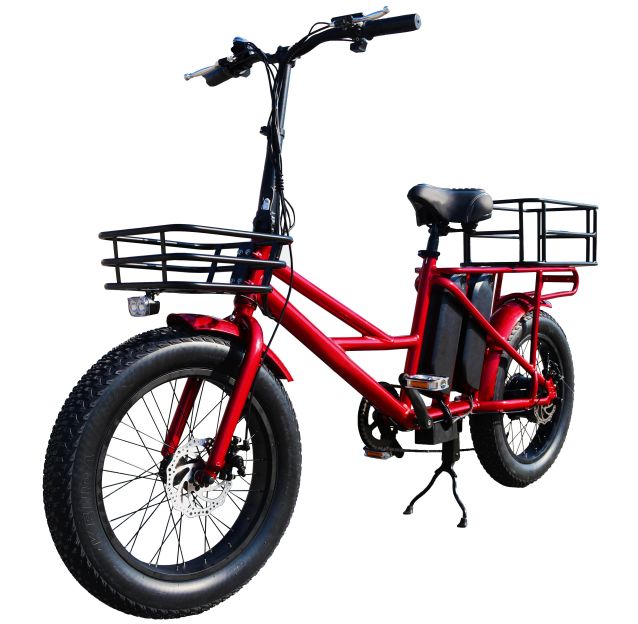 grace neopren most popular electric bicycle