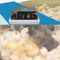 Farm Hatchery Incubator Brooder Machine Hatchers Cheap Price Chicken Automatic Eggs Incubator Bird Quail Brooder