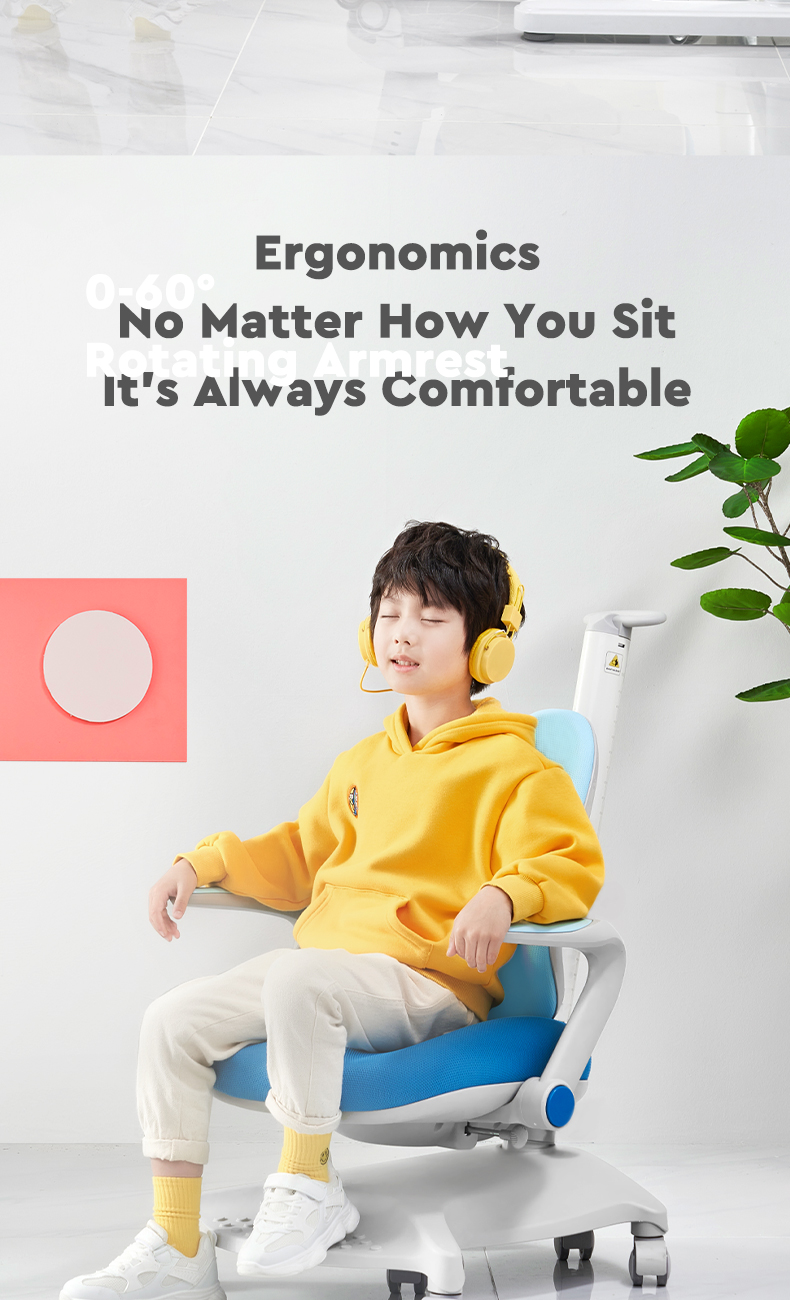 Comfortable Removeble Armrest Chair