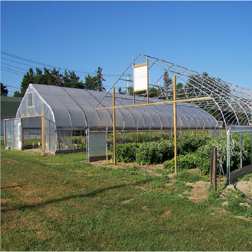 High Quality Gothic Structure Arch Film Greenhouse Manufacturers and High Quality Gothic Structure Arch Film Greenhouse Suppliers