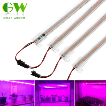 220V Phyto Lamp for Plants Full Spectrum LED Grow Light High Luminous Efficiency Indoor Plant Growing Lamps for Flower Seedlings