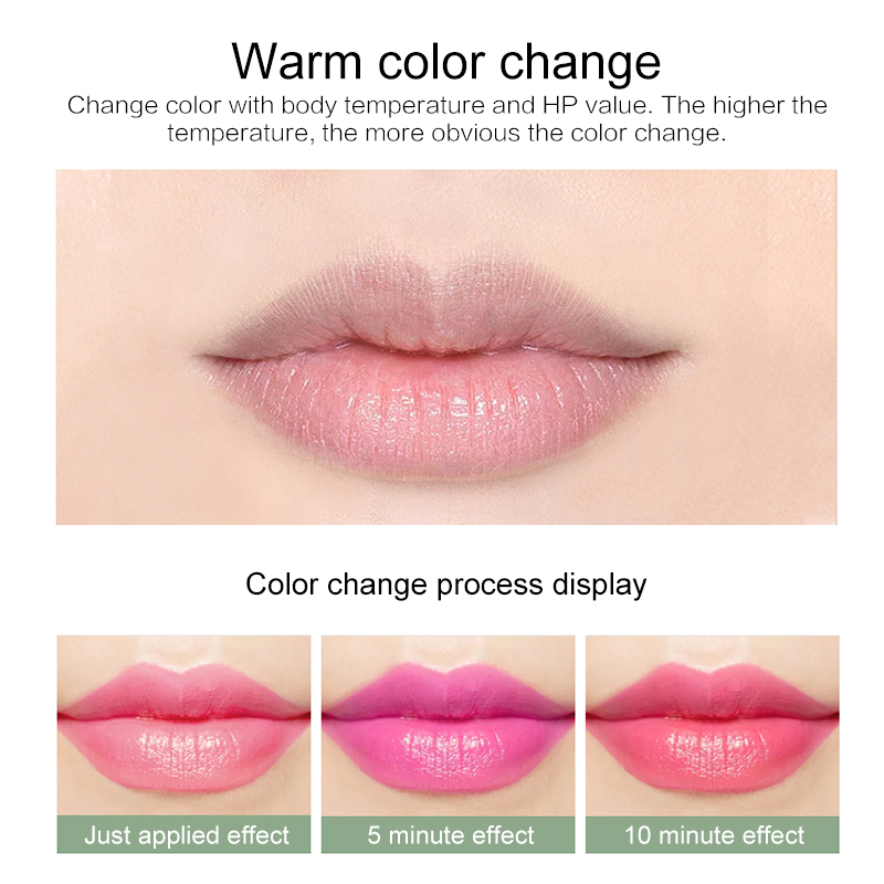 Natural Aloe Vera Moisturizing Lip Balm Color Changing Red Lip Sticks Lasting Nourishing Matte Lipsticks Lip Balm Makeup TSLM1