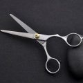 1pcs Portable Stainless Steel Thinning Shears Regular Hair Scissors Hairdressing Snipping Shearing Tool Flat Teeth Blades