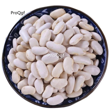 Prodgf 500gram a set White Kidney Bean