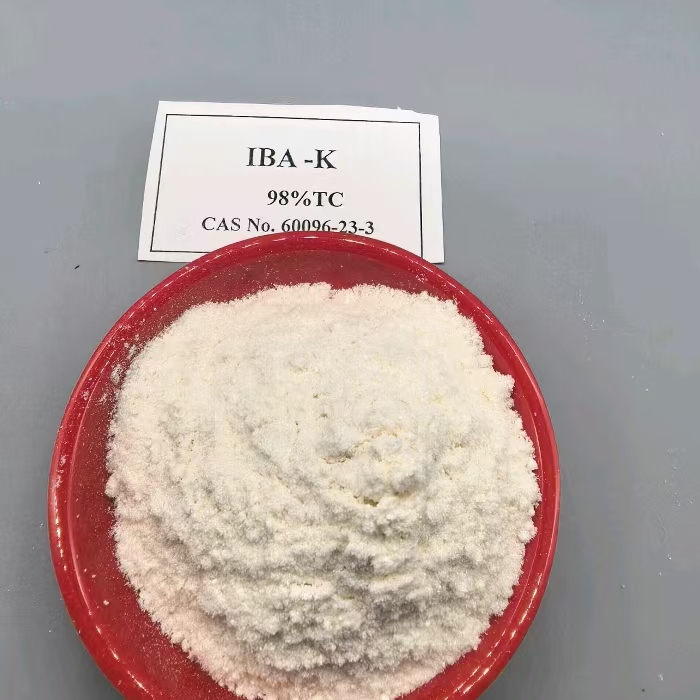 Auxin IBA  IBA-K Indole-3-butyric acid  Potassium salt   plant growth regulator