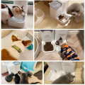 Automatic Cats Dogs Food Feeder and 3.8L Waterer Plastic Pets Food Dispenser Gamelle Chat Puppy Feeding Machine