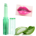 Hot Sales Moisturizer Lip Balm Makeup Aloe Vera Plant Nutritious Lipstick Women Temperature Chang Color Lip Stick Protect Lip