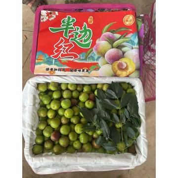 XG Ludian Crafted Honey Sugar Plums Essence