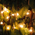 25FT Patio string light Christmas G40 Globe Festoon bulb fairy string light outdoor party garden garland wedding Decorative