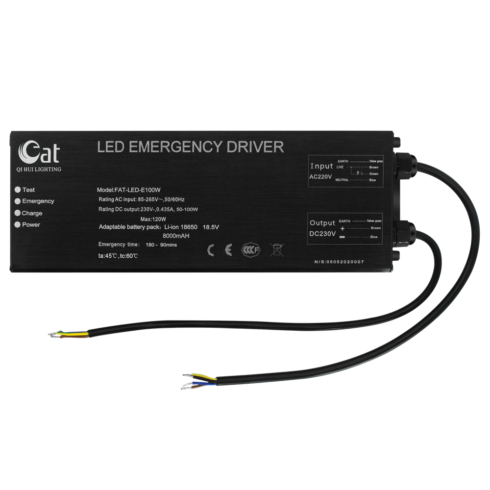 emergency driver.jpg