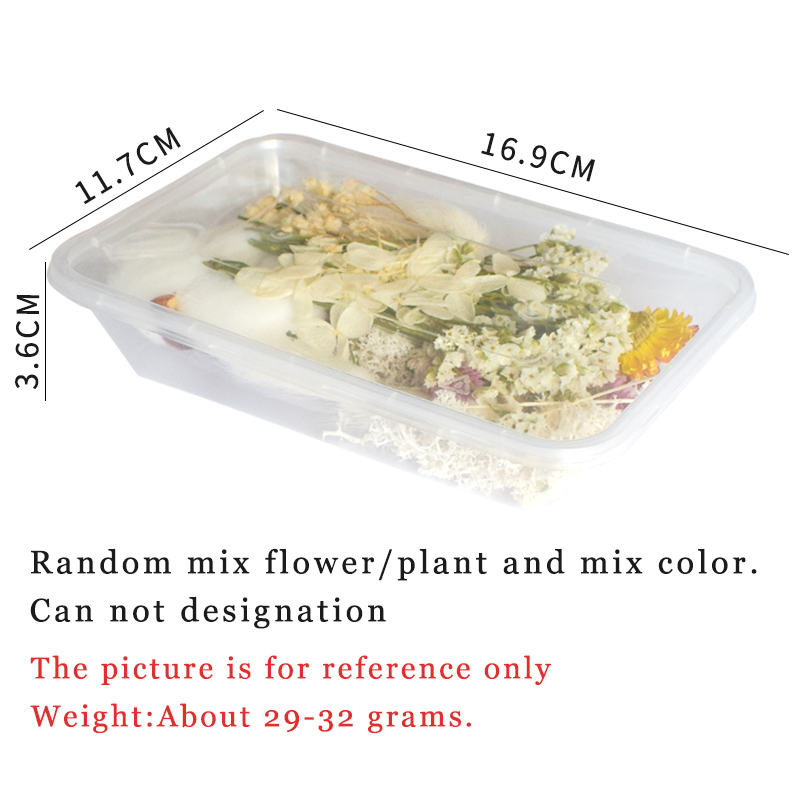 1 Box Real Dried Flower Dry Plants For Aromatherapy Candle Epoxy Resin Pendant Necklace Jewelry Making Craft DIY Accessories