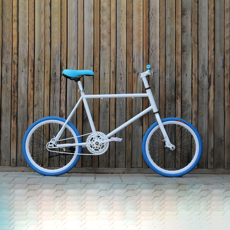 20 Inch Bike Single Speed Fixie Bike Double Dsic Brake 20 Inch Bicycle Freewheel Frame Mini Bicycle Fit Height 155cm To 180cm