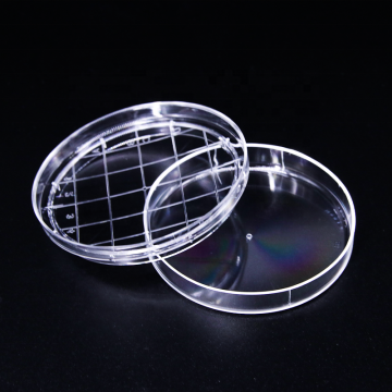 10Pcs 65mm Clear Petri Dishes With grid of Laboratory supplies