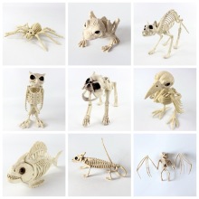 Skeleton Halloween Animal Bone