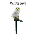 owl white