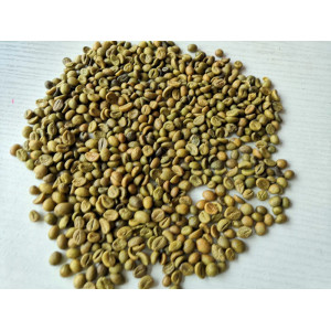 Green Coffee Bean Plant Extract