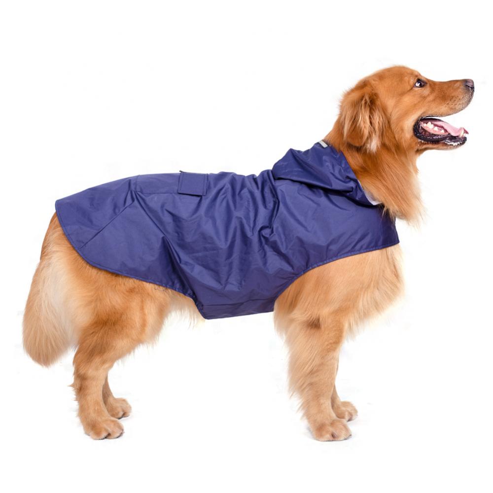 Pet Clothing