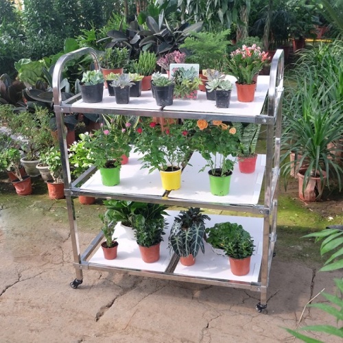 Greenhouse Transport Trolley Cart for Flower Manufacturers and Greenhouse Transport Trolley Cart for Flower Suppliers