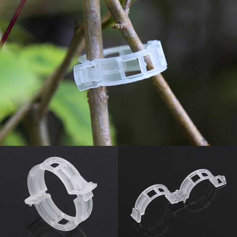 Plastic Plant Support Clips 50/100Pcs Vine Tomato Stem Vegetable Fixing Clip Garden Greenhouse Accessories 30mm Plant Clips