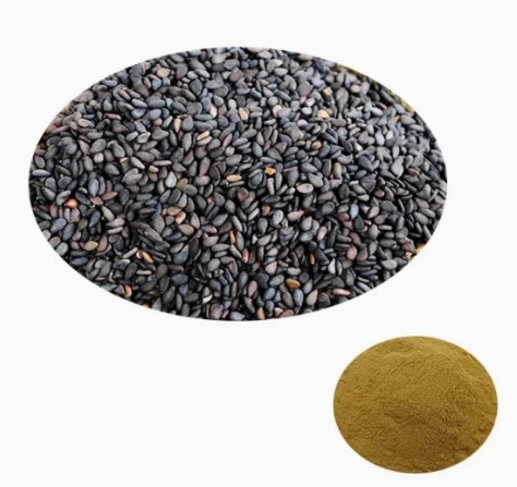 getting sesamin from sesame