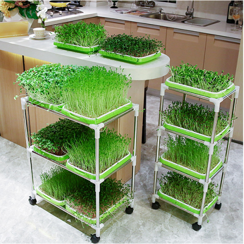 Green Seedling Frame With Seedling Trays To Plant Manufacturers and Green Seedling Frame With Seedling Trays To Plant Suppliers