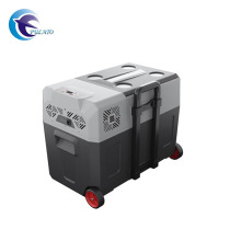 Hot Sale Compressor Cooler 40L Capming Car Freezer 12V 220V Car Fridge (shipping expect Canary Islands )