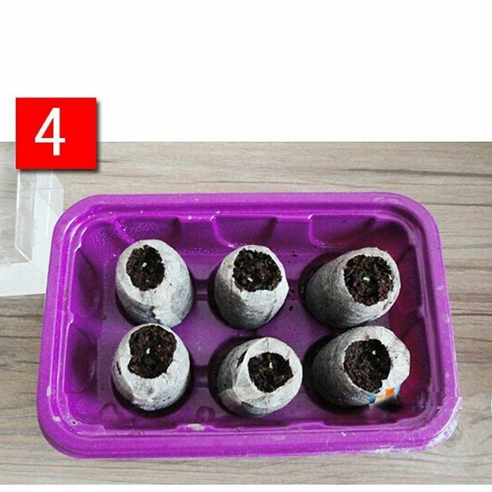 30mm 10pcs Jiffy Peat Pellets Seed Starting Plugs Seeds Starter Pallet Seedling Soil Block Professional Easy To Use