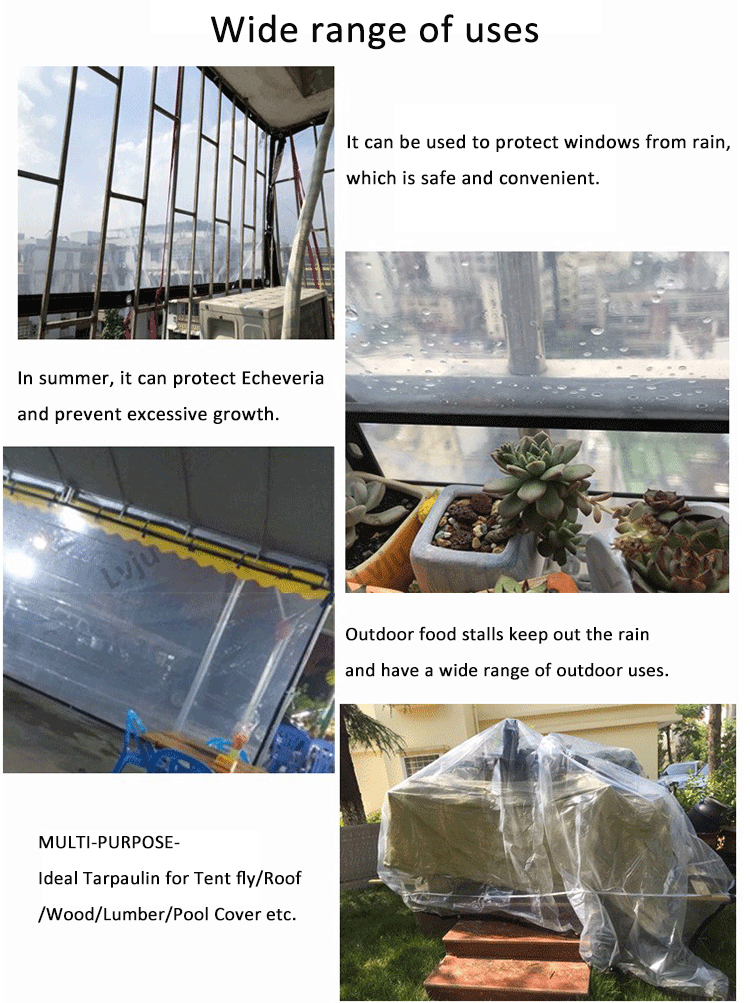 Lvju Clear Tarp 10x16ft 3x5m Transparent Visible Rain Protect Balcony Succulent Plants Shelter Maintain Temperature Shade Sail