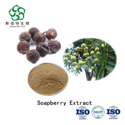 Bulk Supply Herbal Sapindoside Powder Soapnut Extract for Sale, Offer Bulk Supply Herbal Sapindoside Powder Soapnut Extract