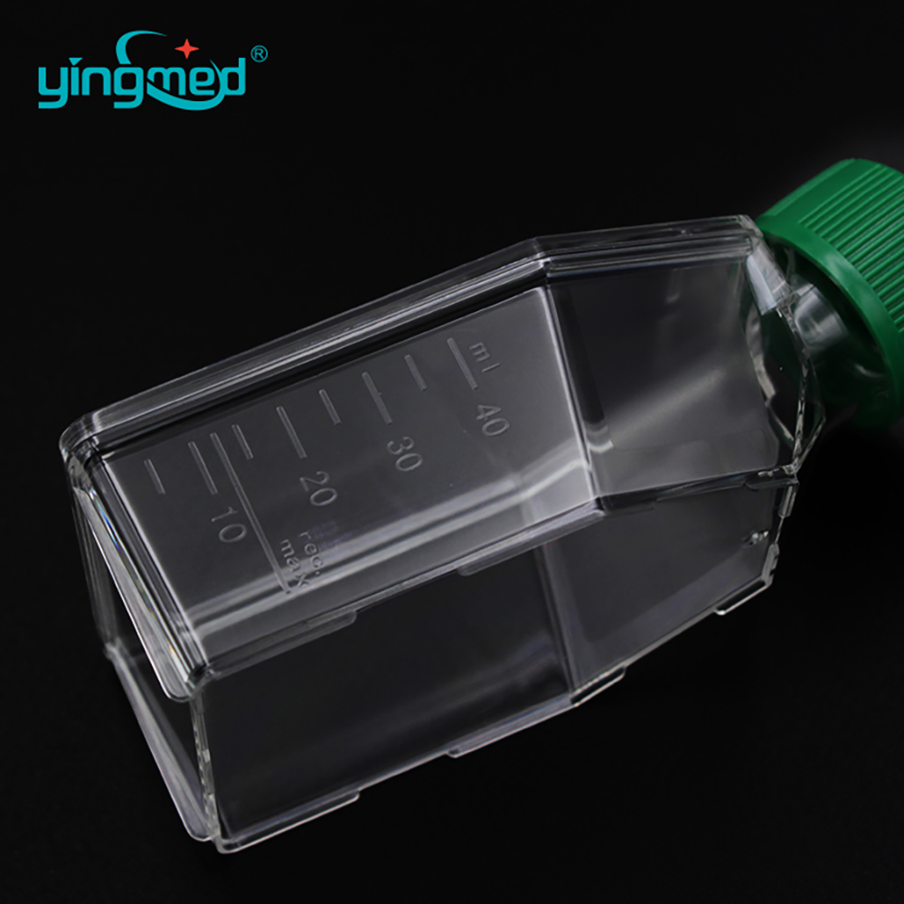Cell Culture Flask 11