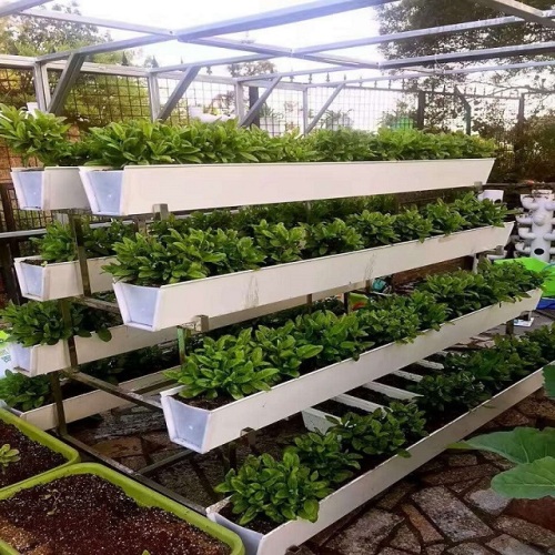 Vertical NFT PVC Hydroponic Strawberry Growing System Manufacturers and Vertical NFT PVC Hydroponic Strawberry Growing System Suppliers