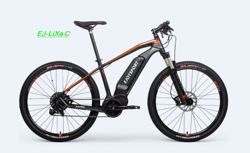 Fat E Bike